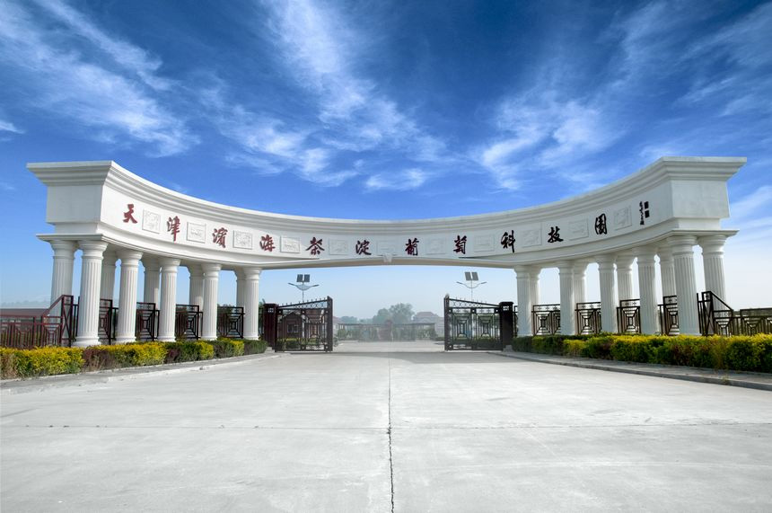 天津塘沽葡萄酒厂维修现场